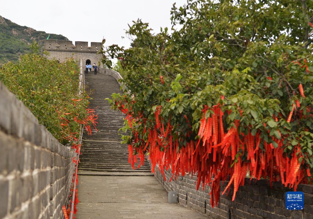 智赢足彩票下载